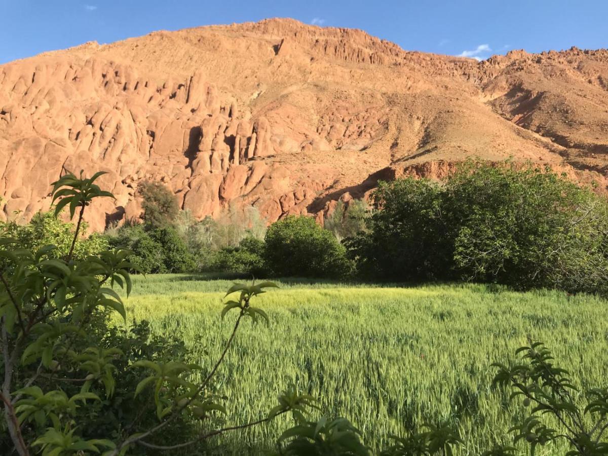 Maison D'Hote Amazir Bed and Breakfast Boumalne Exterior foto